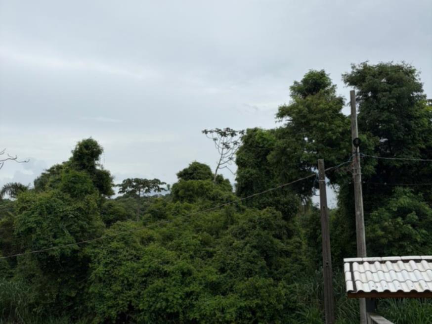 Foto ilustrativa 10 - 1 Terreno | Área de 1.071,29m² | Contando Com Uma Pequena Construção de 23m² | Rua João de Oliveira Pereira, S/Nº | Bairro Ribeirão | Ilha Bela/SP