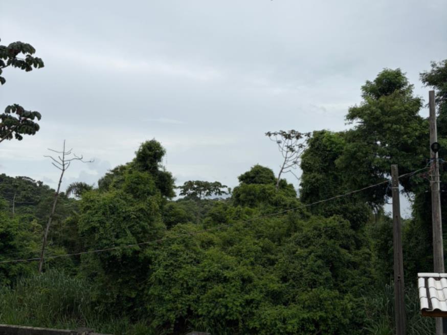 Foto ilustrativa 14 - 1 Terreno | Área de 1.071,29m² | Contando Com Uma Pequena Construção de 23m² | Rua João de Oliveira Pereira, S/Nº | Bairro Ribeirão | Ilha Bela/SP