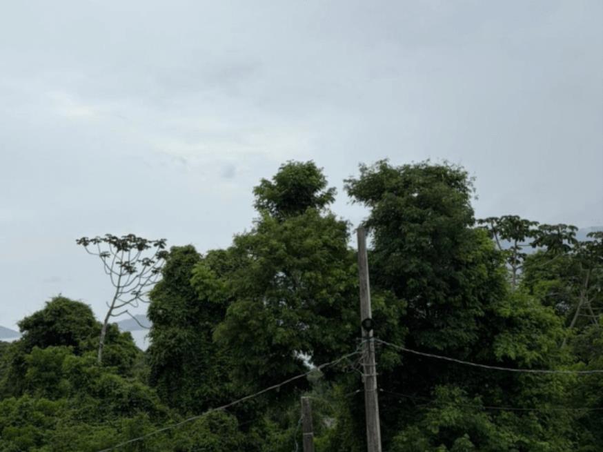 Foto ilustrativa 16 - 1 Terreno | Área de 1.071,29m² | Contando Com Uma Pequena Construção de 23m² | Rua João de Oliveira Pereira, S/Nº | Bairro Ribeirão | Ilha Bela/SP