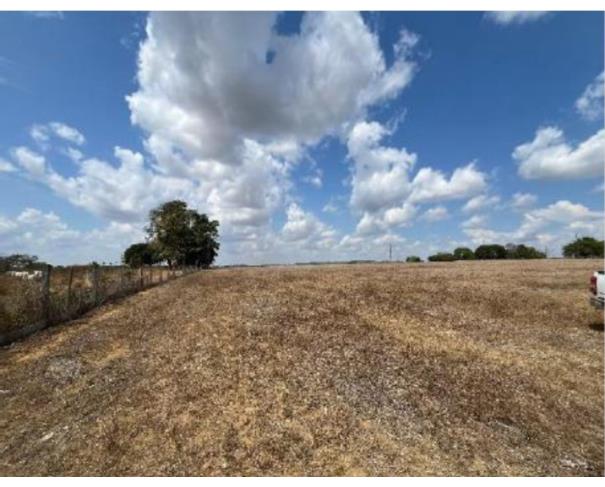 Foto de 2 Terrenos área de 11,7764ha e área de 4,0330ha | Ariquemes/RO