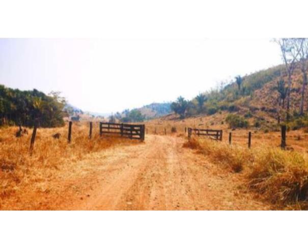 Foto de  1 Terreno | Área de 24,20 ha | Lote 14B | Gleba 25 | Cacaulândia/RO
