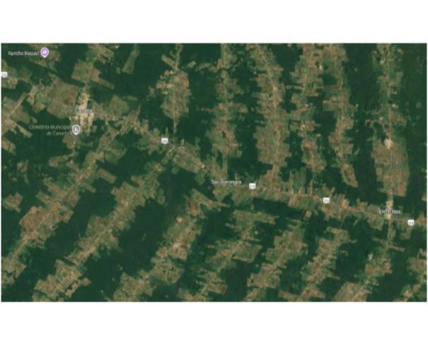 Foto de  1 Imóvel Rural | Área de 67.8601 ha | Fazenda Sítio Bom Futuro | BR-210, Vicinal 12 | Caroebe/RR