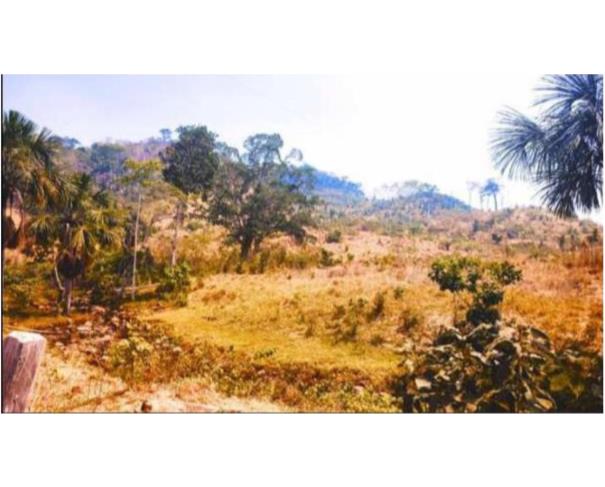 Foto de  1 Terreno | Área de 24,20 ha | Lote 14B | Gleba 25 | Cacaulândia/RO