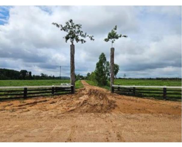 Foto de  3 Terrenos | Áreas de 27,2976ha |  Área de 7,5630ha | Área de 27,4267 | Alto Paraíso/RO