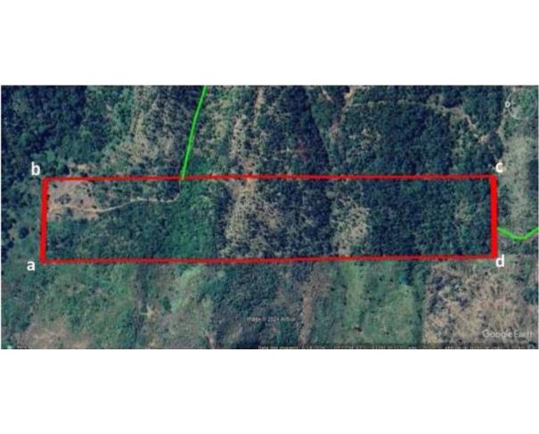 Foto de  1 Terreno | Área de 24,20 ha | Lote 14B | Gleba 25 | Cacaulândia/RO