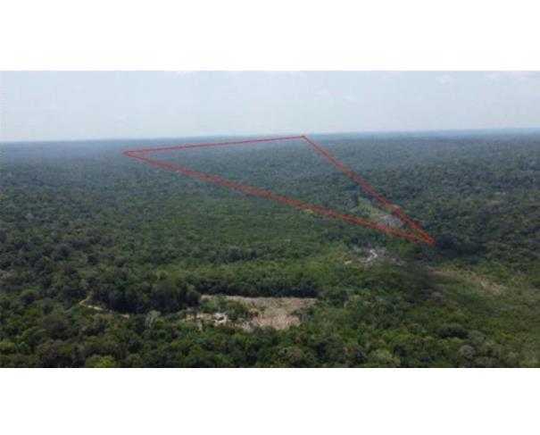 Foto de  1 Imóvel Rural | Área de 1.525,8423ha | Fazenda LOPES | Km 24 Rodovia AM-240 | Presidente Figueiredo/AM