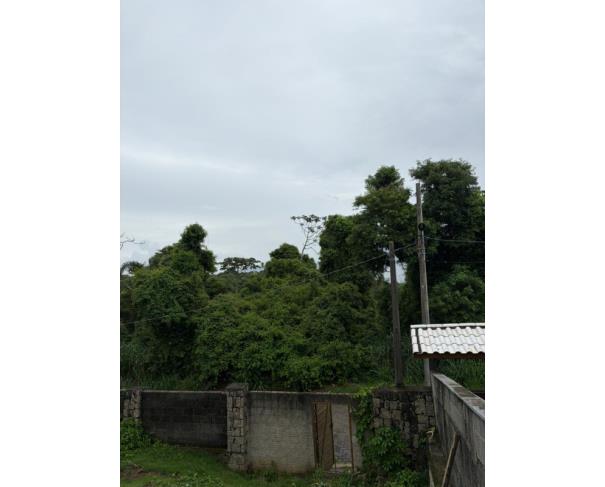 Foto de 1 Terreno | Área de 1.071,29m² | Contando Com Uma Pequena Construção de 23m² | Rua João de Oliveira Pereira, S/Nº | Bairro Ribeirão | Ilha Bela/SP