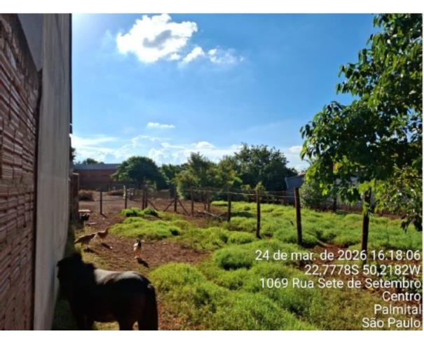 Foto de 1 Terreno | Área de 2.426,95 m² | Rua Sete de Setembro, Centro, Palmital/SP