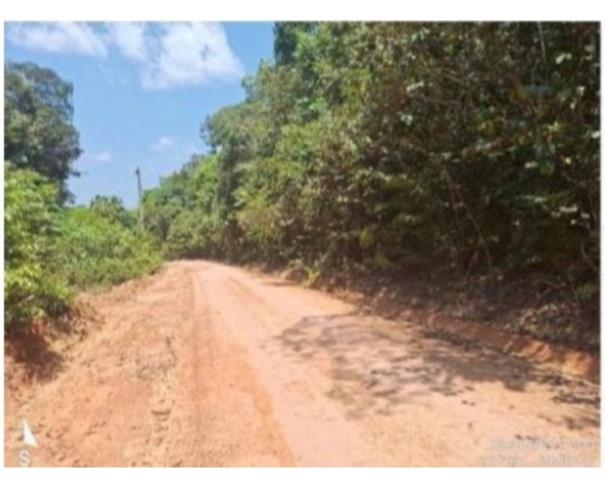 Foto de  1 Imóvel Rural | Área de 2.418,94ha | "FAZENDA VITÓRIA" | Comunidade São Salvador | Presidente Figueiredo/AM