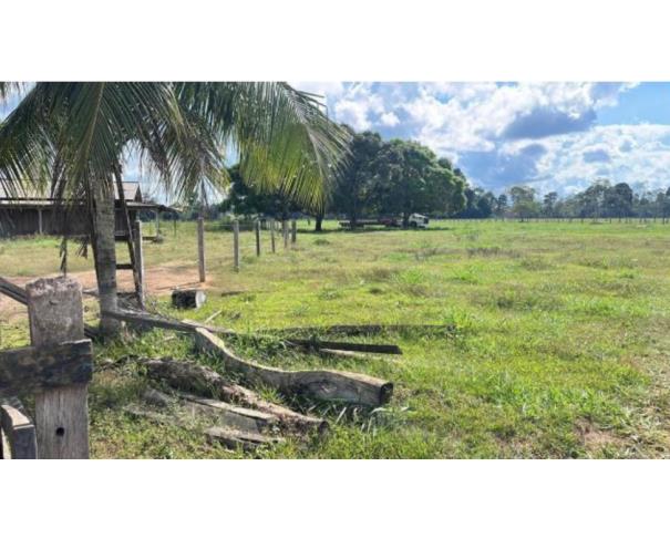 Foto de 1 Imóvel Rural Área de 24,2000ha | Lote 52-A1 | Gleba 69 | Alto Paraíso/RO
