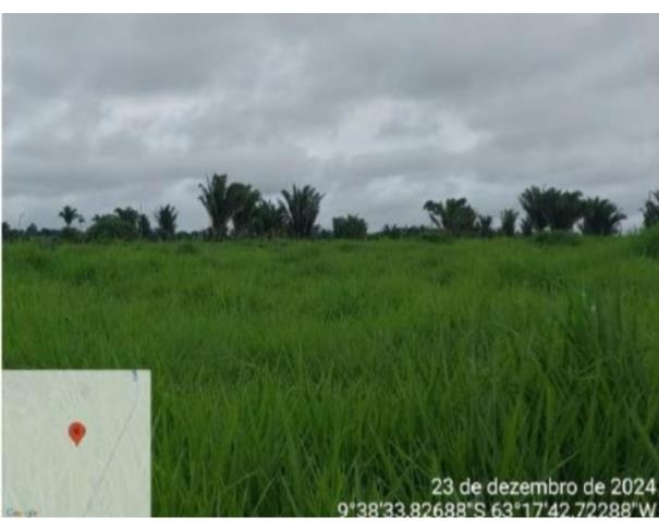 Foto de 1 Terreno | Área de 16,9535ha | Lote 84D1 | Gleba 42 | Alto Paraíso/RO