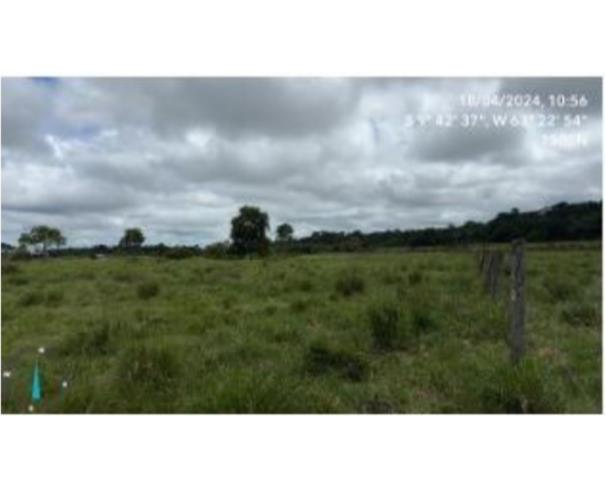 Foto de 1 Terreno | Área de 20,9662 ha | Lote 34 | Gleba 68 | Alto Paraíso/RO