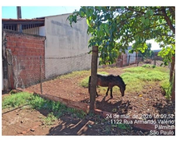 Foto de 1 Terreno | Área de 2.426,95 m² | Rua Sete de Setembro, Centro, Palmital/SP