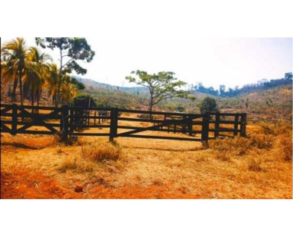 Foto de  1 Terreno | Área de 24,20 ha | Lote 14B | Gleba 25 | Cacaulândia/RO