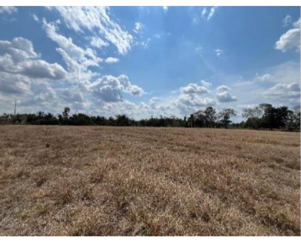 Foto de 2 Terrenos área de 11,7764ha e área de 4,0330ha | Ariquemes/RO
