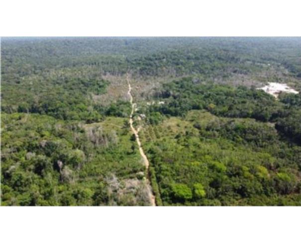 Foto de 1 Lote de Terras | Área de 3.000ha | Comunidade do Maruaga | Presidente Figueiredo/AM