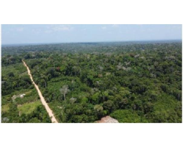 Foto de  1 Imóvel Rural | Área de 2.418,94ha | "FAZENDA VITÓRIA" | Comunidade São Salvador | Presidente Figueiredo/AM