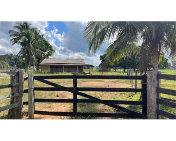 Foto de 1 Imóvel Rural Área de 24,2000ha | Lote 52-A1 | Gleba 69 | Alto Paraíso/RO