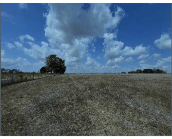 Foto de 2 Terrenos área de 11,7764ha e área de 4,0330ha | Ariquemes/RO