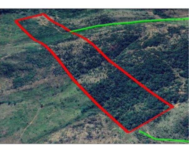 Foto de  1 Terreno | Área de 24,20 ha | Lote 14B | Gleba 25 | Cacaulândia/RO