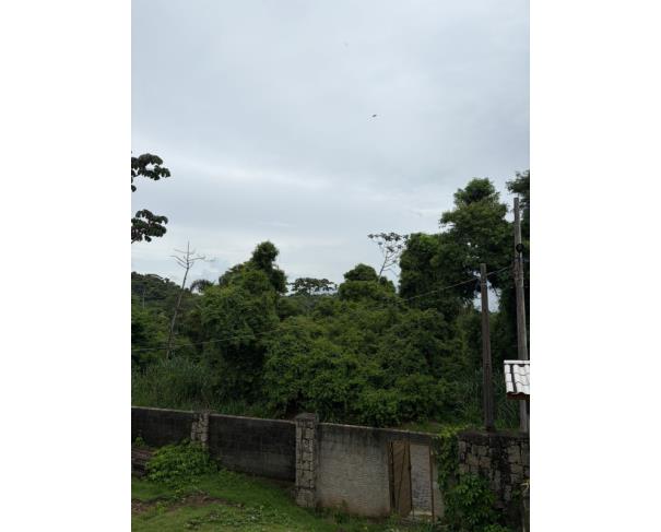 Foto de 1 Terreno | Área de 1.071,29m² | Contando Com Uma Pequena Construção de 23m² | Rua João de Oliveira Pereira, S/Nº | Bairro Ribeirão | Ilha Bela/SP