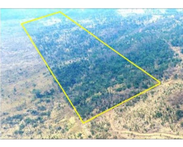 Foto de  1 Terreno | Área de 24,20 ha | Lote 14B | Gleba 25 | Cacaulândia/RO