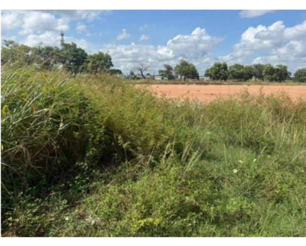 Foto de  1 Imóvel | Área de 3.210,00m² | Rua Corcel Negro, Quadra 466 | Bairro Jóquei Clube | Boa Vista/RR