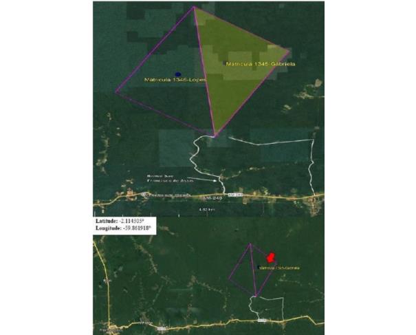 Foto de 1 Imóvel Rural | Área de 17.212.200,00m² | Rodovia AM-010 Km 53 | Vicinal ZF-1 km 12 | Rio Preto de Eva/AM