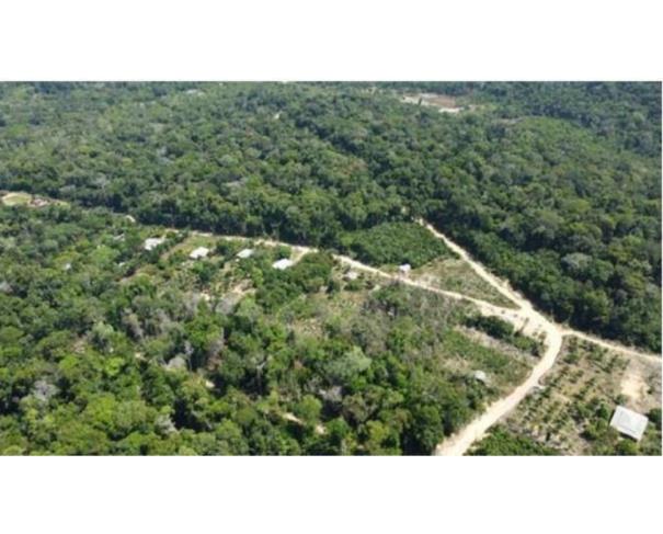Foto de 1 Lote de Terras | Área de 3.000ha | Comunidade do Maruaga | Presidente Figueiredo/AM