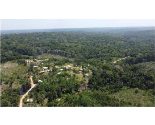Foto de  1 Imóvel Rural | Área de 2.418,94ha | "FAZENDA VITÓRIA" | Comunidade São Salvador | Presidente Figueiredo/AM
