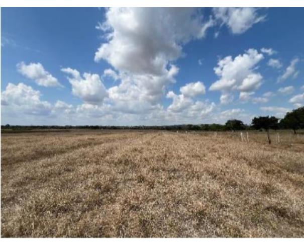 Foto de 2 Terrenos área de 11,7764ha e área de 4,0330ha | Ariquemes/RO