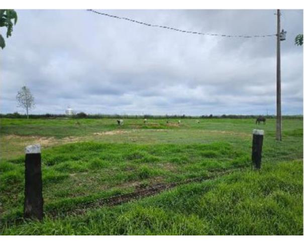 Foto de  3 Terrenos | Áreas de 27,2976ha |  Área de 7,5630ha | Área de 27,4267 | Alto Paraíso/RO