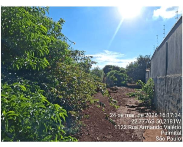 Foto de 1 Terreno | Área de 2.426,95 m² | Rua Sete de Setembro, Centro, Palmital/SP