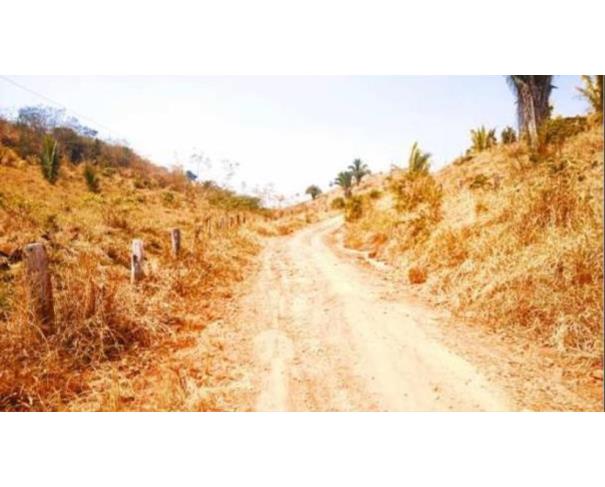 Foto de  1 Terreno | Área de 24,20 ha | Lote 14B | Gleba 25 | Cacaulândia/RO