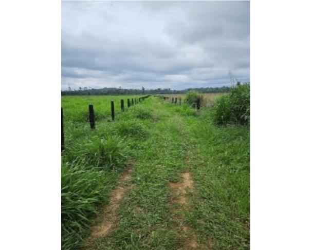 Foto de  3 Terrenos | Áreas de 27,2976ha |  Área de 7,5630ha | Área de 27,4267 | Alto Paraíso/RO