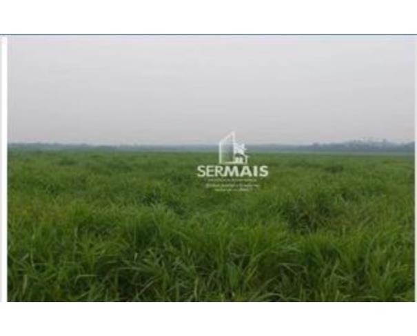 Foto de  1 Terreno | Área de 31,7327ha | Lote 20A | Gleba 68 | Alto Paraíso/RO
