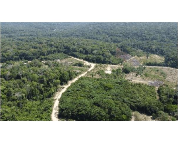 Foto de 1 Lote de Terras | Área de 3.000ha | Comunidade do Maruaga | Presidente Figueiredo/AM