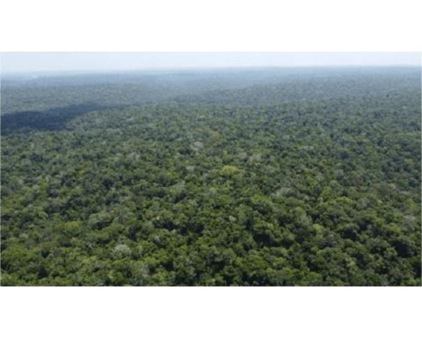 Foto de 1 Imóvel Rural | Área de 17.212.200,00m² | Rodovia AM-010 Km 53 | Vicinal ZF-1 km 12 | Rio Preto de Eva/AM