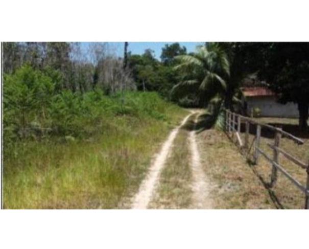 Foto de  1 Imóvel Rural | Área de 1.525,8423ha | Fazenda LOPES | Km 24 Rodovia AM-240 | Presidente Figueiredo/AM