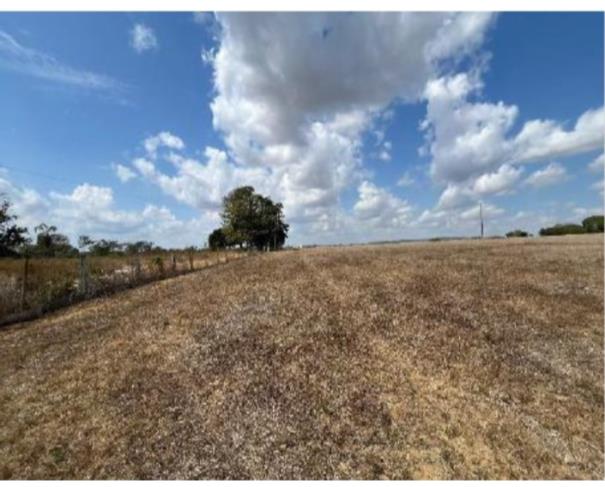 Foto de 2 Terrenos área de 11,7764ha e área de 4,0330ha | Ariquemes/RO