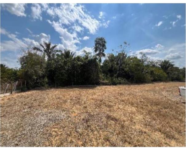 Foto de 2 Terrenos área de 11,7764ha e área de 4,0330ha | Ariquemes/RO