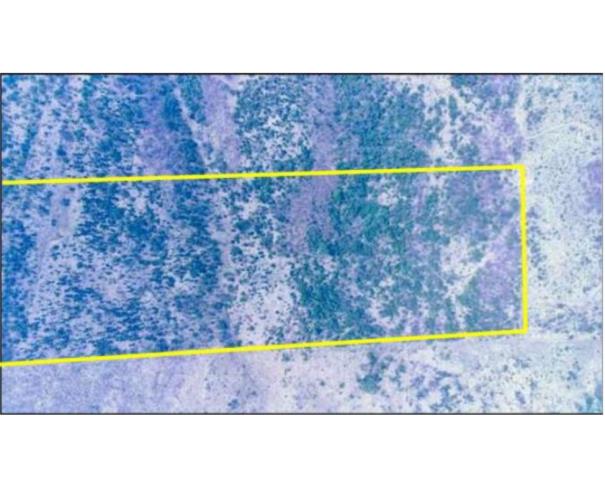 Foto de  1 Terreno | Área de 24,20 ha | Lote 14B | Gleba 25 | Cacaulândia/RO
