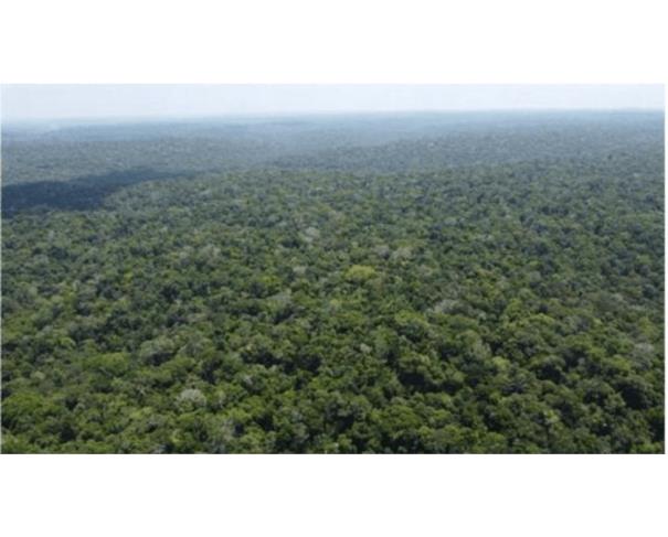 Foto de  1 Imóvel Rural | Área de 1.525,8423ha | Fazenda LOPES | Km 24 Rodovia AM-240 | Presidente Figueiredo/AM