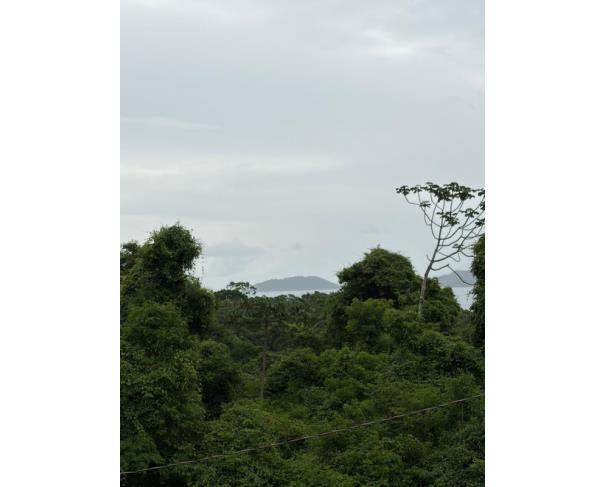 Foto de 1 Terreno | Área de 1.071,29m² | Contando Com Uma Pequena Construção de 23m² | Rua João de Oliveira Pereira, S/Nº | Bairro Ribeirão | Ilha Bela/SP
