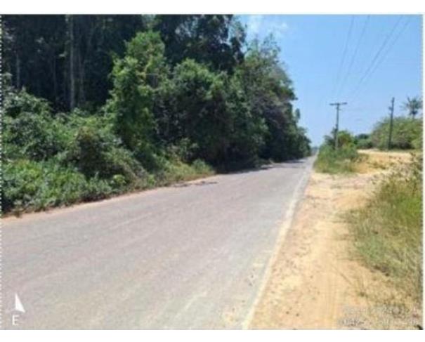 Foto de  1 Imóvel Rural | Área de 1.525,8423ha | Fazenda LOPES | Km 24 Rodovia AM-240 | Presidente Figueiredo/AM