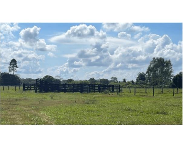 Foto de 1 Imóvel Rural Área de 24,2000ha | Lote 52-A1 | Gleba 69 | Alto Paraíso/RO