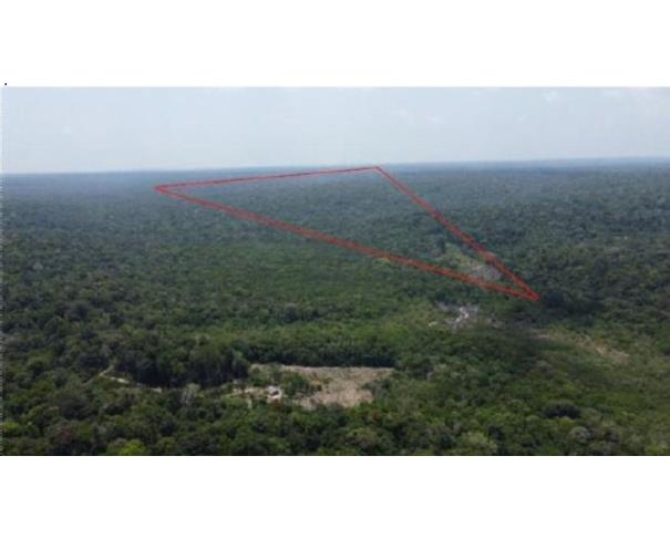 Foto de 1 Imóvel Rural | Área de 17.212.200,00m² | Rodovia AM-010 Km 53 | Vicinal ZF-1 km 12 | Rio Preto de Eva/AM