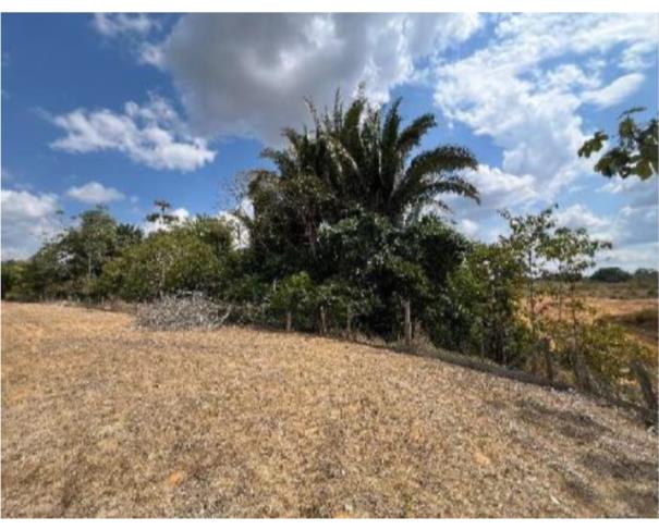 Foto de 2 Terrenos área de 11,7764ha e área de 4,0330ha | Ariquemes/RO