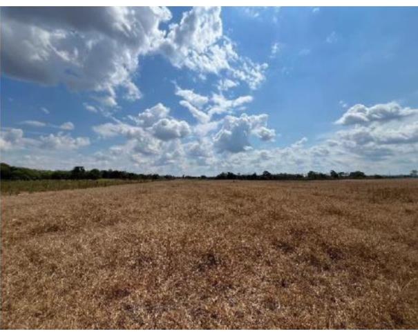 Foto de 2 Terrenos área de 11,7764ha e área de 4,0330ha | Ariquemes/RO