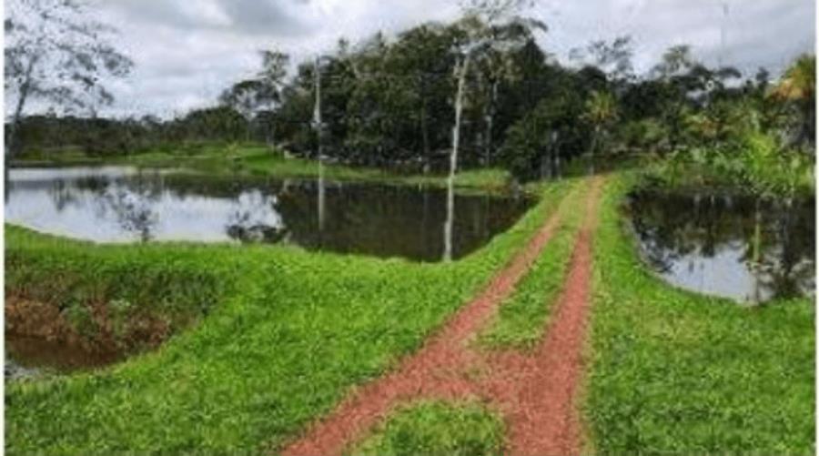 Foto principal do imóvel